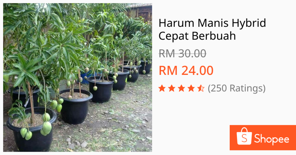 Product Title